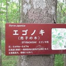 エゴ On Twitter 1人1人指紋が違う様に 導かれ方も様々かなぁ ここに何かが サイラム 静寂 瞑想 真我 ヨーガ スピリチュアル メッセージ 愛 サイレンス サイレント ピュアラブ インド Https T Co Zcmaayeict