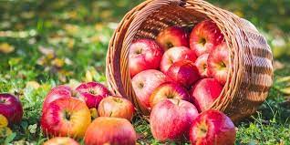 How To Buy Ripe Fruit – Youbeauty