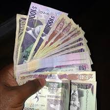 Jamaica Currency All Currency Money Bill Green Cards