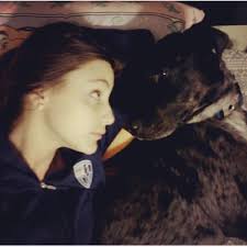 Fundraiser by Tess Colon : Rufus' Femur Repair Surgery