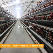 You may see both horizontally and vertically placed windows on the same home. China Modern Design Full Automated Layer Chicken Cage For Sale China Full Automated Raising Equipment Semi Automatic Rearing Cages