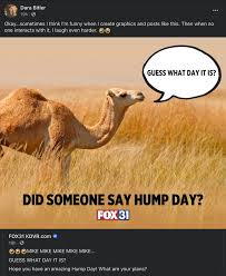Wednesday hump day camel funny car insurance commercial geico. That S A Bit Played Out Don T You Think Ftvlive