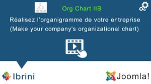 Org Chart Iib