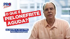 A forma aguda da doença é reconhecida na admissãoo médico é bastante fácil. O Que E Pielonefrite Aguda Tudo O Que Voce Precisa Saber Youtube