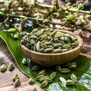 Bodinayakanur cardamom is famous for its plump size, deep green color, and high oil content., AI generated