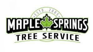 Internet information · popular searches · quality results Maple Springs Tree Service North Carolina Home Facebook