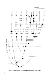 Image result for Ptycholobium plicatum