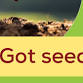 Help Start a Seed Library By Donating Your Seeds! event image