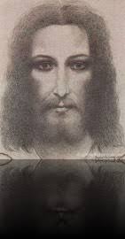 Daphné Du Barry, Drawing