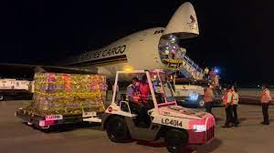 * vaers hhs releases covid data weekly, but they release last week's data. First Batch Of Covid 19 Vaccine Arrives In Singapore Youtube