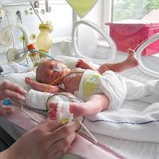 Check spelling or type a new query. 2015 Nov Four Things To Know About The Path To Become A Neonatal Nurse Practitioner Neonatal Nurse Neonatal Nurse Practitioner Pediatric Nursing