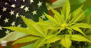 Resultado de imagen de Legalization