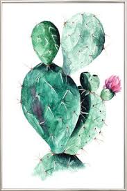 Résultat de recherche d'images pour "cactus"