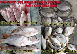 Ikan ini berhaga mahal kerana ianya terkenal dengan harga ikan patin muncung sungai pahang mendominasi senarai harga ikan air tawar di negeri tersebut apabila mencecah rm280 hingga. Hasil Laut Segar Port Dickson Harga Jualan Untuk 6 November 2017