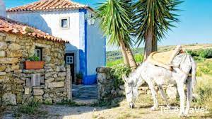 Roads, streets and buildings on satellite photos; Cheleiros Mafra Portugal Youtube