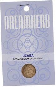 Image result for Xysmalobium undulatum