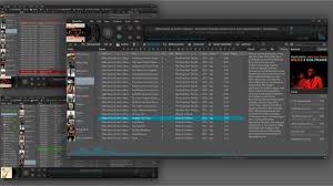 Musicbee Portable Download For Windows 10 7 8 8 1 32 64 Bit Free