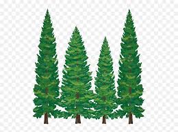 Library of evergreen tree jpg freeuse download png files. Pine Tree Clipart Softwood Cartoon Pine Tree Png Transparent Pine Tree Clipart Evergreen Tree Png Free Transparent Png Images Pngaaa Com