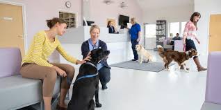 Check spelling or type a new query. Services Offered By Veterinary Clinics Tx Wellness