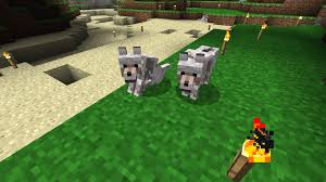 How do you make a dog in minecraft? Dogs Wolves Information Discussion Survival Mode Minecraft Java Edition Minecraft Forum Minecraft Forum