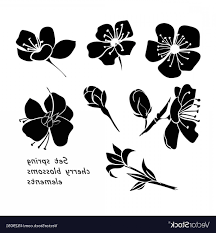 Black And White Silhouette Cherry Blossom Tree Drawing Image Result For Cherry Blossom Vector Black And White Cherry Blossom Vector Black Silhouette Cherry Blossom