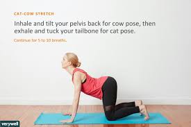 Must Know Yoga Poses For Beginners Essential Yoga Poses Yoga Poses Beginning Yoga