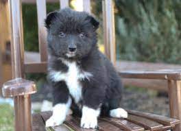 It can make you become obsessed with finding something even if there's nothing to. What Does Rm Mean In Front Of Name On Dating Sites