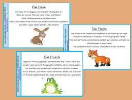 Abschreibkartei Wald Und Wiesentiere Unterrichtsmaterial In Den Fachern Deutsch Sachunterricht Wald Grundschule Deutsch Lernen Kinder Kartei