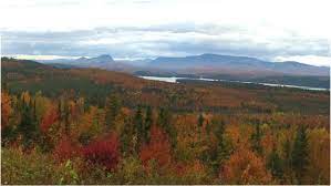 Despite unpredictable weather, even into may, many homeowners in connecticut, massachusetts, rhode island, new hampshire and beyond have stunning gardens. Classifying Northern New England Landscapes For Improved Conservation Sciencedirect