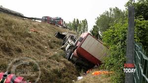 May 18, 2021 · all'improvviso il capriolo è piombato contro il parabrezza. Incidenti Stradali Notizie Su Forlitoday