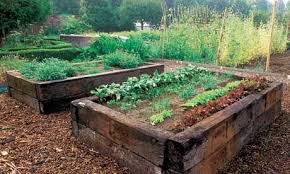 vegetable garden fail vegetable garden raised beds building a raised garden raised vegetable gardens