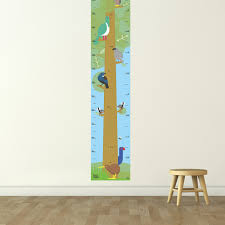 Tall Timber Height Chart Native Birds All Childrens Gifts