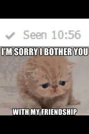 Pin On Funny Memes