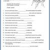 After a few of these alliteration worksheets, your students will no longer wonder, what is alliteration. 1
