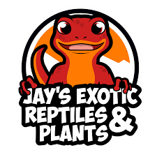 As well as isopods,invertebrates and reptilian pets, we also sell different types of tanks and pet foods. Reptiles Jay S Exotic Reptiles Plants United States