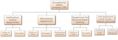 organization chart preview of structure of a smaller ohs