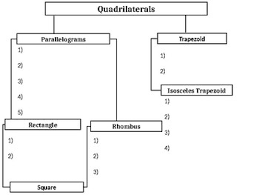 Quadrilateral Flow Chart Worksheets Teaching Resources Tpt