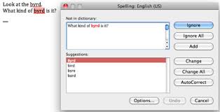 Check Spelling And Grammar In Office 2011 For Mac Dummies