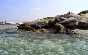 Check spelling or type a new query. Parel8on H Petrwmenh Gorgona Stis Kaboyrotrypes Xalkidikhs Newsbeast