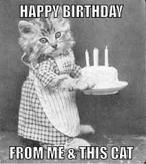 Happy Birthday Happy Birthday Cat Cat Birthday Happy Birthday Meme