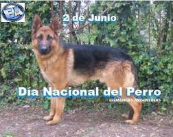 Calendario con todos los días internacionales y mundiales. 2 De Junio Dia Nacional Del Efemerides Argentinas Facebook