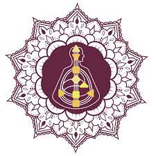 Maybe you would like to learn more about one of these? Human Design Types And Chart Readings Quantum Alignment System