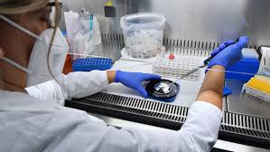 The daily confirmed cases curve in the world is flattening at 8.6%. Coronavirus In Sicilia 734 I Nuovi Positivi A Catania 99