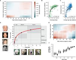 Quantitative Translation Of Dog To Human Aging By Conserved
