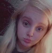 American pit bull /Cane corso mix