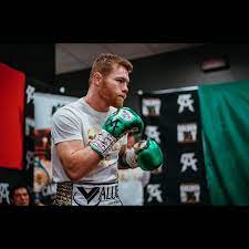 Meet Your Posher Alan Canelo Alvarez Saul Canelo Alvarez Oscar De La Hoya