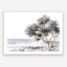 Noosa I Photo Art Print Photo Canvas Art Coastal Art Prints Canvas Photo Prints