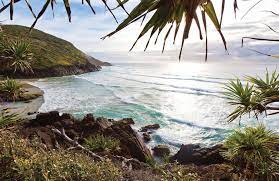 Hat Head National Park Nsw National Parks And Wildlife Service Australia Travel Spring Camping Camping Spots