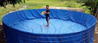 Harga Terpal Kolam Ikan Lele Infoakuakultur Com