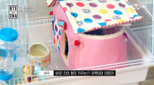 Bts Jin Introduces His Cute Pets Korea Dispatch